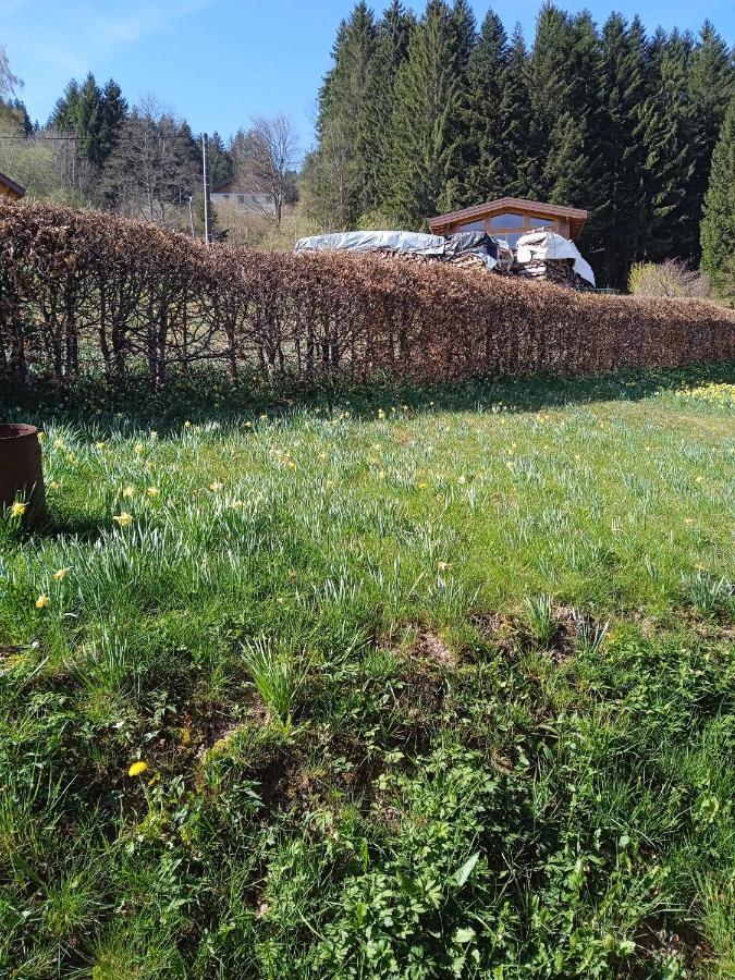Chalet Du Poli Villa Xonrupt-Longemer Bagian luar foto
